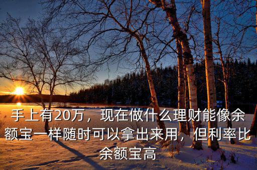手上有20萬，現(xiàn)在做什么理財能像余額寶一樣隨時可以拿出來用，但利率比余額寶高