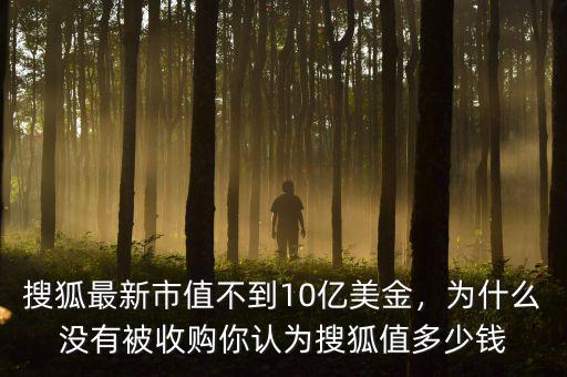 搜狐最新市值不到10億美金，為什么沒有被收購你認為搜狐值多少錢