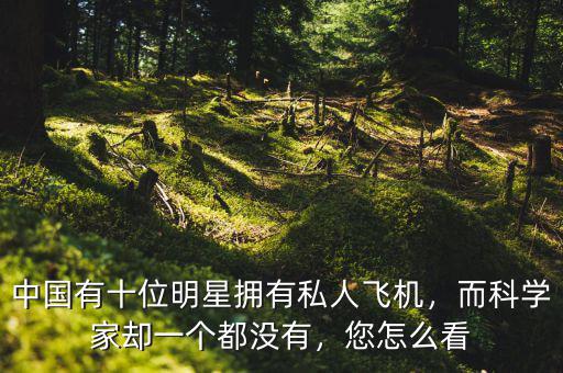 中國(guó)有十位明星擁有私人飛機(jī)，而科學(xué)家卻一個(gè)都沒(méi)有，您怎么看