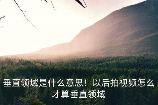 垂直領(lǐng)域是什么意思！以后拍視頻怎么才算垂直領(lǐng)域