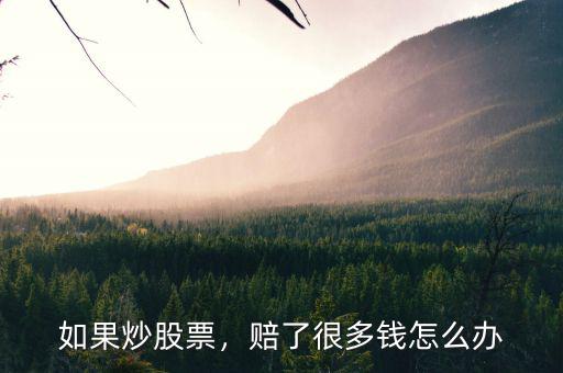如果炒股票，賠了很多錢怎么辦