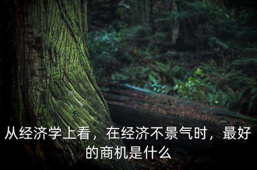 從經(jīng)濟學(xué)上看，在經(jīng)濟不景氣時，最好的商機是什么