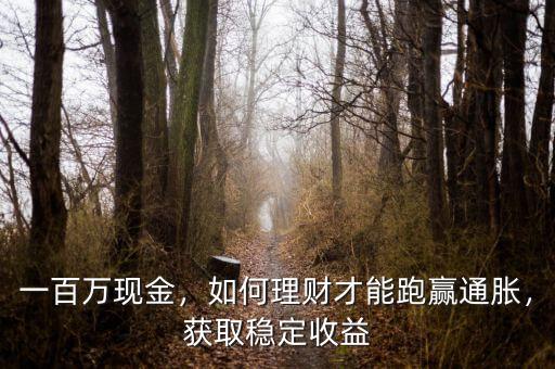 一百萬現(xiàn)金，如何理財(cái)才能跑贏通脹，獲取穩(wěn)定收益