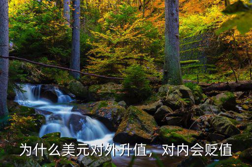 為什么美元對(duì)外升值，對(duì)內(nèi)會(huì)貶值