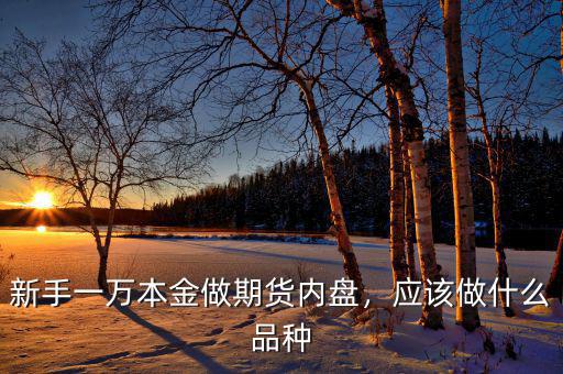 新手一萬本金做期貨內盤，應該做什么品種