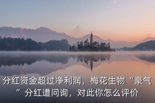 分紅資金超過凈利潤，梅花生物“豪氣”分紅遭問詢，對此你怎么評價(jià)
