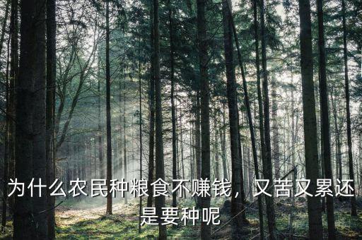 為什么農(nóng)民種糧食不賺錢，又苦又累還是要種呢