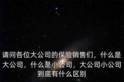 請(qǐng)問(wèn)各位大公司的保險(xiǎn)銷(xiāo)售們，什么是大公司，什么是小公司，大公司小公司到底有什么區(qū)別