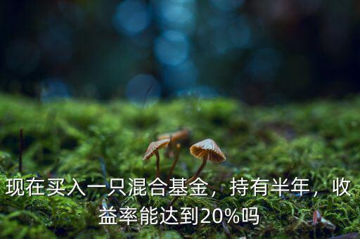 現(xiàn)在買(mǎi)入一只混合基金，持有半年，收益率能達(dá)到20%嗎