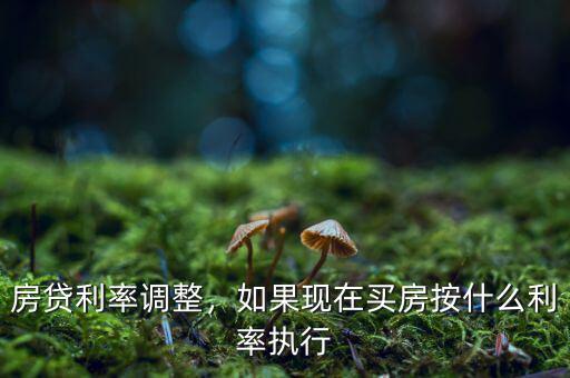 房貸利率調(diào)整，如果現(xiàn)在買(mǎi)房按什么利率執(zhí)行