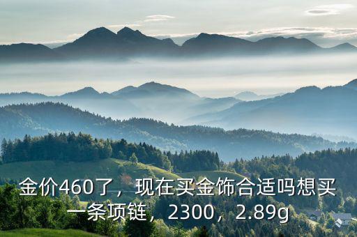 金價460了，現在買金飾合適嗎想買一條項鏈，2300，2.89g