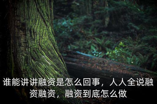 誰(shuí)能講講融資是怎么回事，人人全說(shuō)融資融資，融資到底怎么做