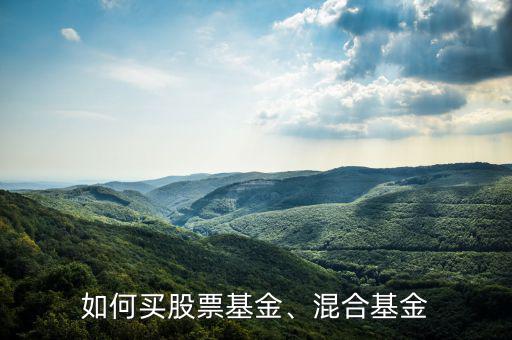 如何買(mǎi)股票基金、混合基金