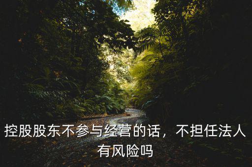 控股股東不參與經(jīng)營的話，不擔任法人有風險嗎