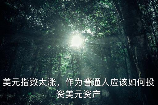 美元指數(shù)大漲，作為普通人應(yīng)該如何投資美元資產(chǎn)