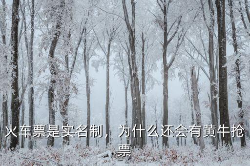 火車票是實(shí)名制，為什么還會(huì)有黃牛搶票