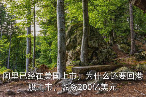 阿里已經(jīng)在美國(guó)上市，為什么還要回港股上市，融資200億美元