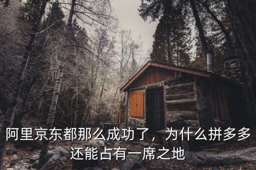 阿里京東都那么成功了，為什么拼多多還能占有一席之地