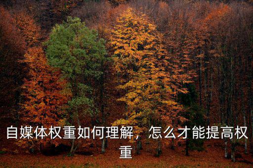 自媒體權(quán)重如何理解，怎么才能提高權(quán)重