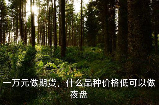 一萬元做期貨，什么品種價(jià)格低可以做夜盤