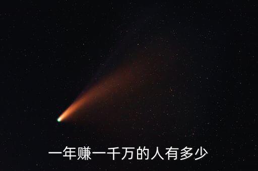 一年賺一千萬(wàn)的人有多少