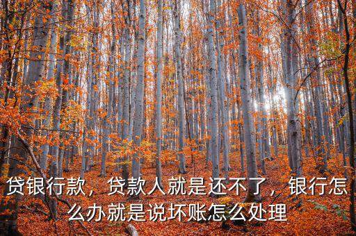 貸銀行款，貸款人就是還不了，銀行怎么辦就是說(shuō)壞賬怎么處理