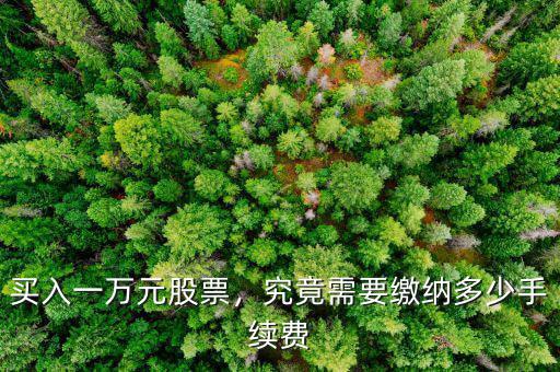 買入一萬元股票，究竟需要繳納多少手續(xù)費