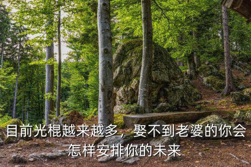 目前光棍越來越多，娶不到老婆的你會怎樣安排你的未來