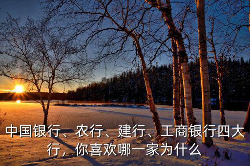 中國銀行、農(nóng)行、建行、工商銀行四大行，你喜歡哪一家為什么