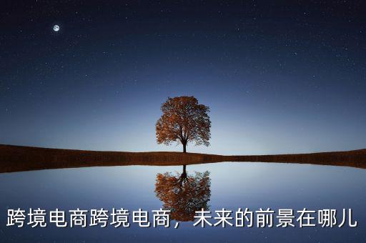 跨境電商跨境電商，未來(lái)的前景在哪兒