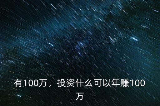 有100萬，投資什么可以年賺100萬