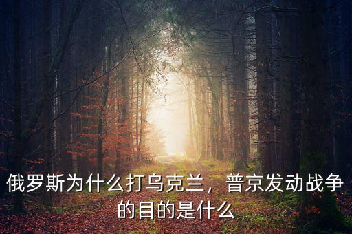 俄羅斯為什么打?yàn)蹩颂m，普京發(fā)動(dòng)戰(zhàn)爭(zhēng)的目的是什么