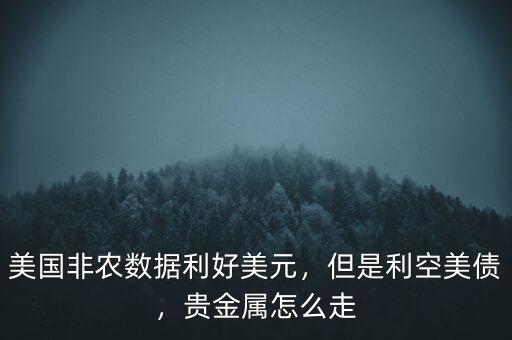 美國(guó)非農(nóng)數(shù)據(jù)利好美元，但是利空美債，貴金屬怎么走