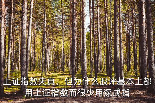 上證指數(shù)失真，但為什么股評基本上都用上證指數(shù)而很少用深成指