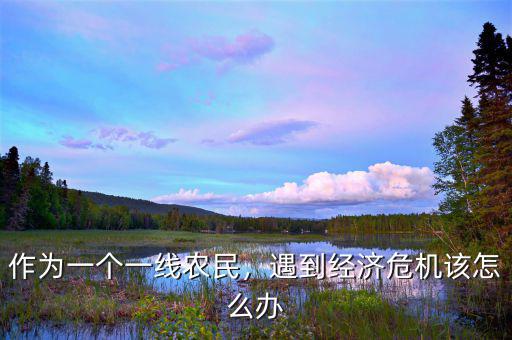 作為一個(gè)一線農(nóng)民，遇到經(jīng)濟(jì)危機(jī)該怎么辦
