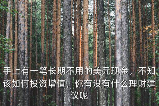 手上有一筆長期不用的美元現(xiàn)金，不知該如何投資增值，你有沒有什么理財建議呢