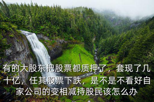 有的大股東把股票都質(zhì)押了，套現(xiàn)了幾十億，任其股票下跌，是不是不看好自家公司的變相減持股民該怎么辦