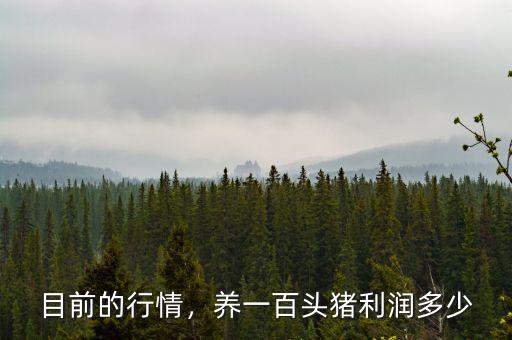 目前的行情，養(yǎng)一百頭豬利潤(rùn)多少