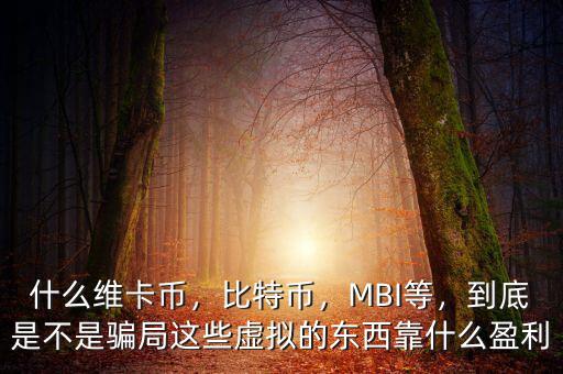 什么維卡幣，比特幣，MBI等，到底是不是騙局這些虛擬的東西靠什么盈利