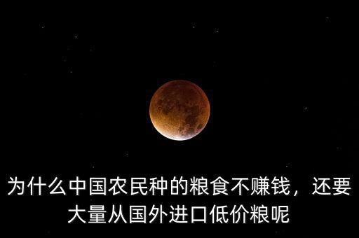 為什么中國農(nóng)民種的糧食不賺錢，還要大量從國外進口低價糧呢