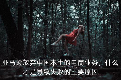 亞馬遜放棄中國本土的電商業(yè)務，什么才是導致失敗的主要原因