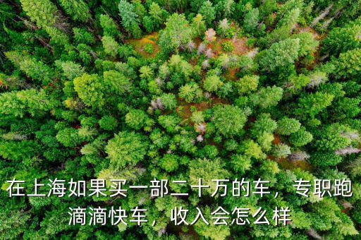 在上海如果買一部二十萬的車，專職跑滴滴快車，收入會怎么樣