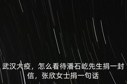 武漢大疫，怎么看待潘石屹先生捐一封信，張欣女士捐一句話