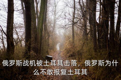 俄羅斯戰(zhàn)機(jī)被土耳其擊落，俄羅斯為什么不敢報(bào)復(fù)土耳其