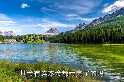 基金本金虧完了怎么辦,基金已虧到本金了。該怎么辦