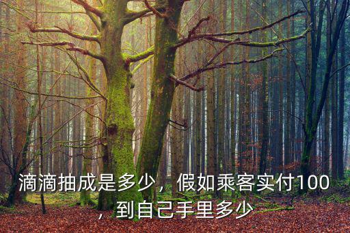 滴滴抽成是多少，假如乘客實(shí)付100，到自己手里多少
