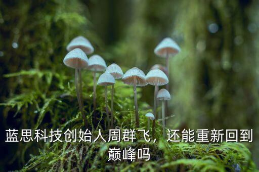 藍(lán)思科技創(chuàng)始人周群飛，還能重新回到巔峰嗎