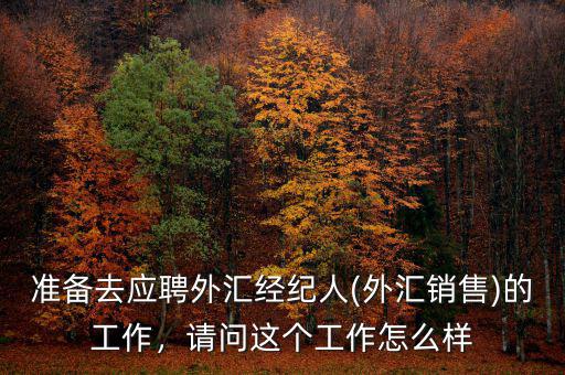 準(zhǔn)備去應(yīng)聘外匯經(jīng)紀(jì)人(外匯銷售)的工作，請(qǐng)問這個(gè)工作怎么樣