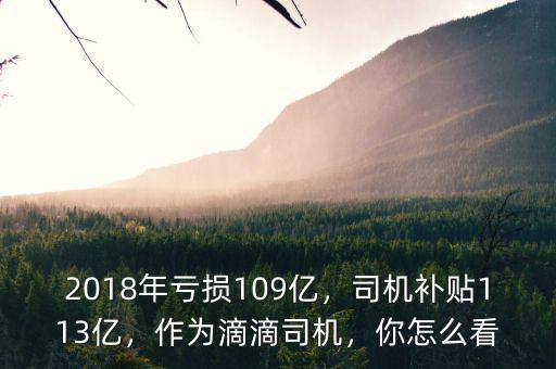2018年虧損109億，司機補貼113億，作為滴滴司機，你怎么看