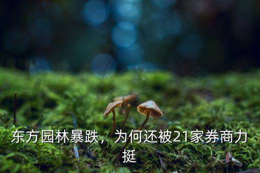 東方園林暴跌，為何還被21家券商力挺